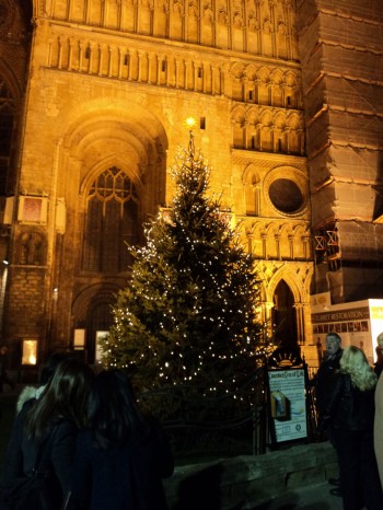 Christmas tree outside the cathedral. Photo: Rachel Sloper