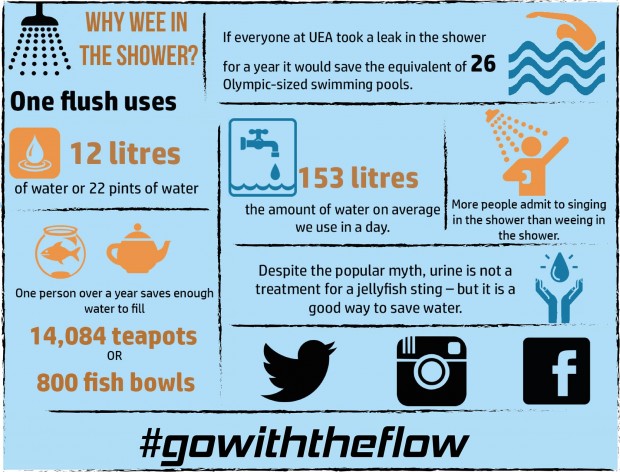 #gowiththeflow infographic